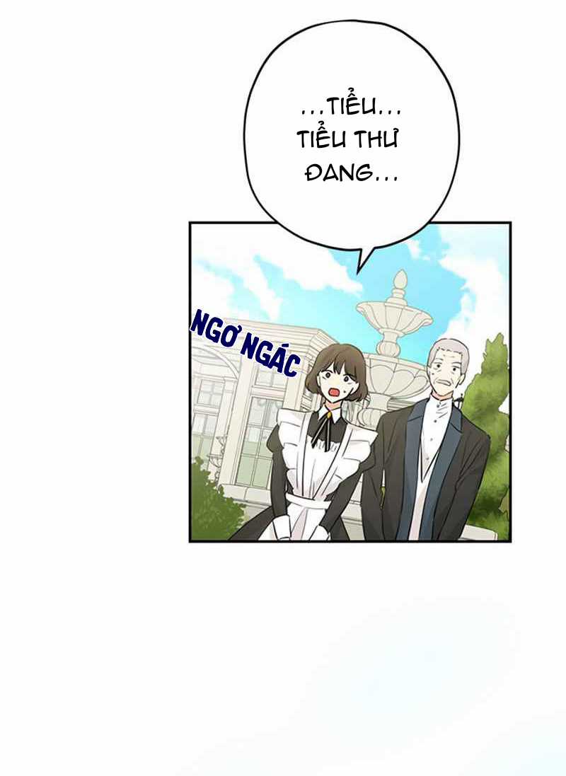 Tôi Là Minh Chứng Của Sự Thật Chapter 19 trang 2