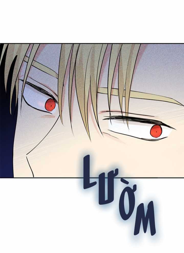 Tôi Là Minh Chứng Của Sự Thật Chapter 22 trang 28