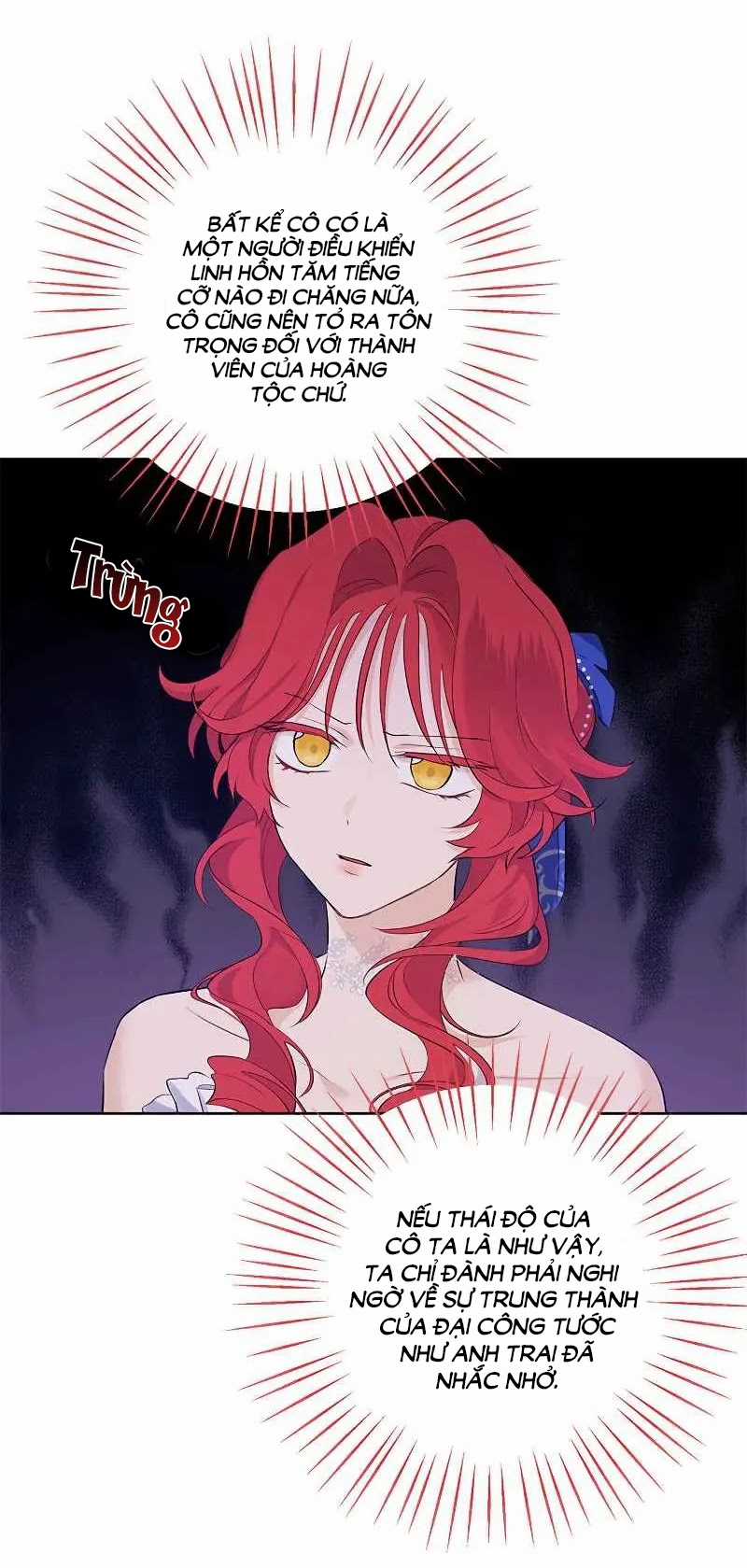 Tôi Là Minh Chứng Của Sự Thật Chapter 29 trang 27