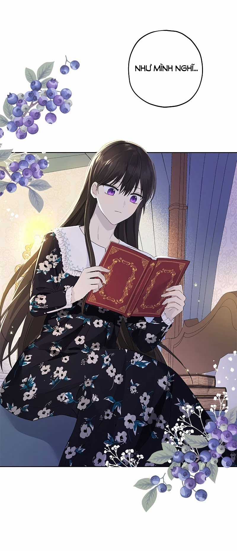 Tôi Là Minh Chứng Của Sự Thật Chapter 34 trang 34