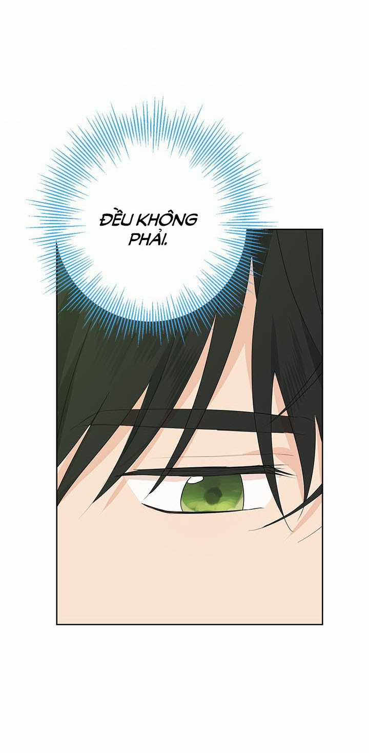 Tôi Là Minh Chứng Của Sự Thật Chapter 41 trang 25