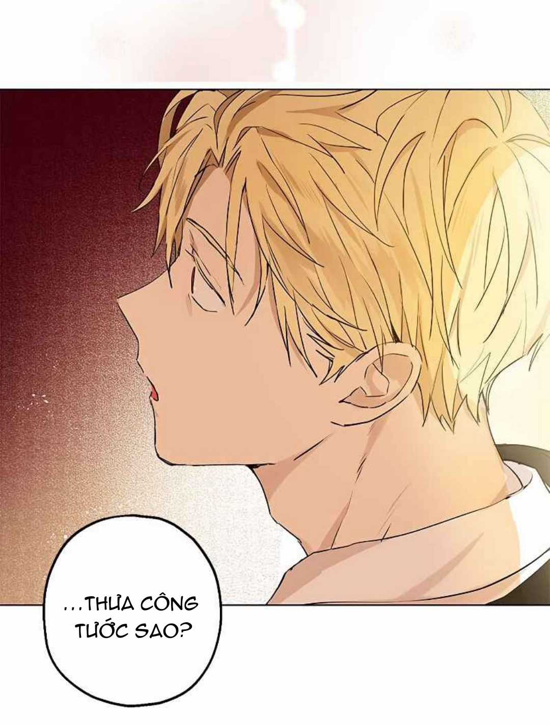 Tôi Là Minh Chứng Của Sự Thật Chapter 9 trang 13