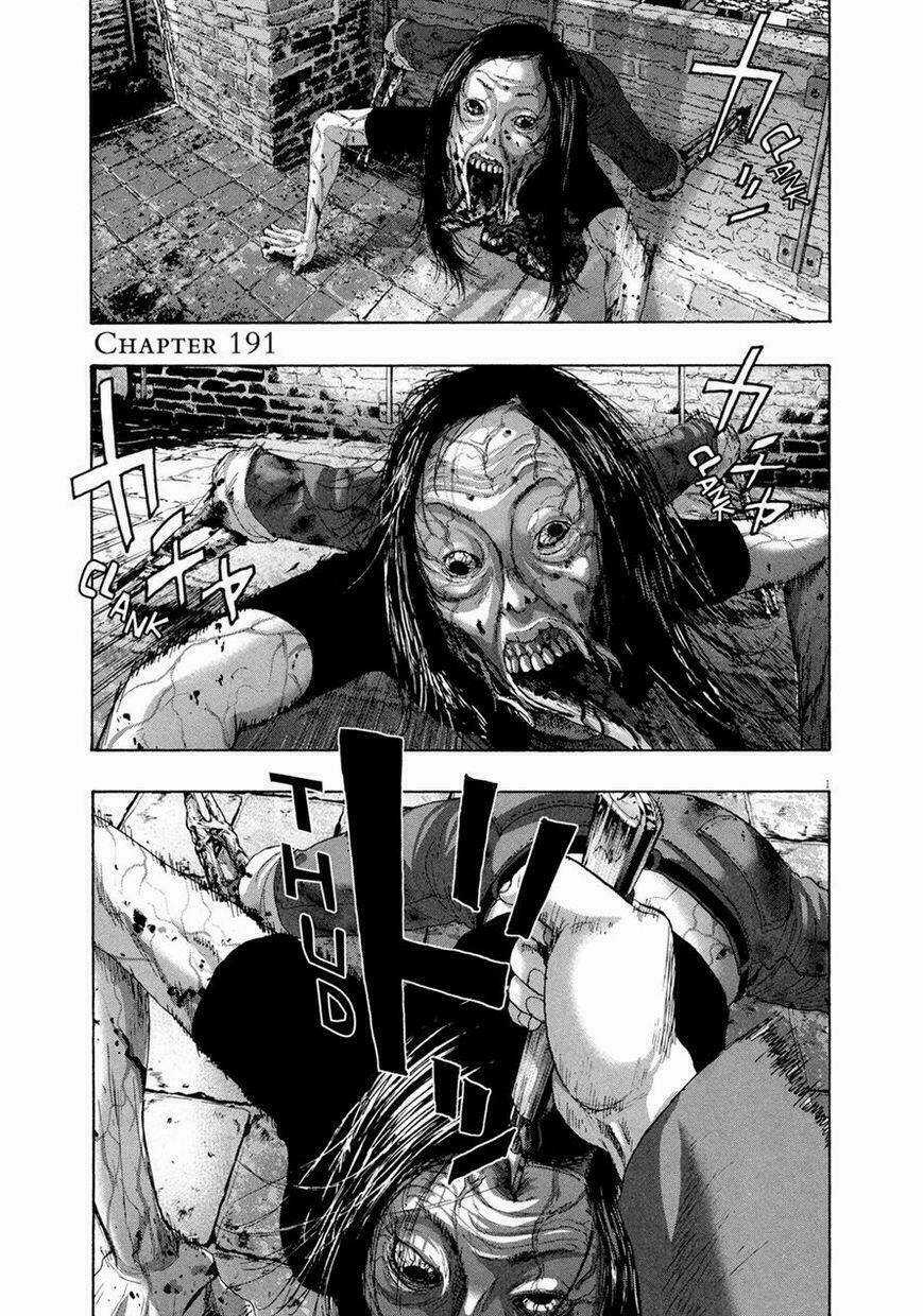 Tôi Là Người Hùng Chapter 191 trang 1