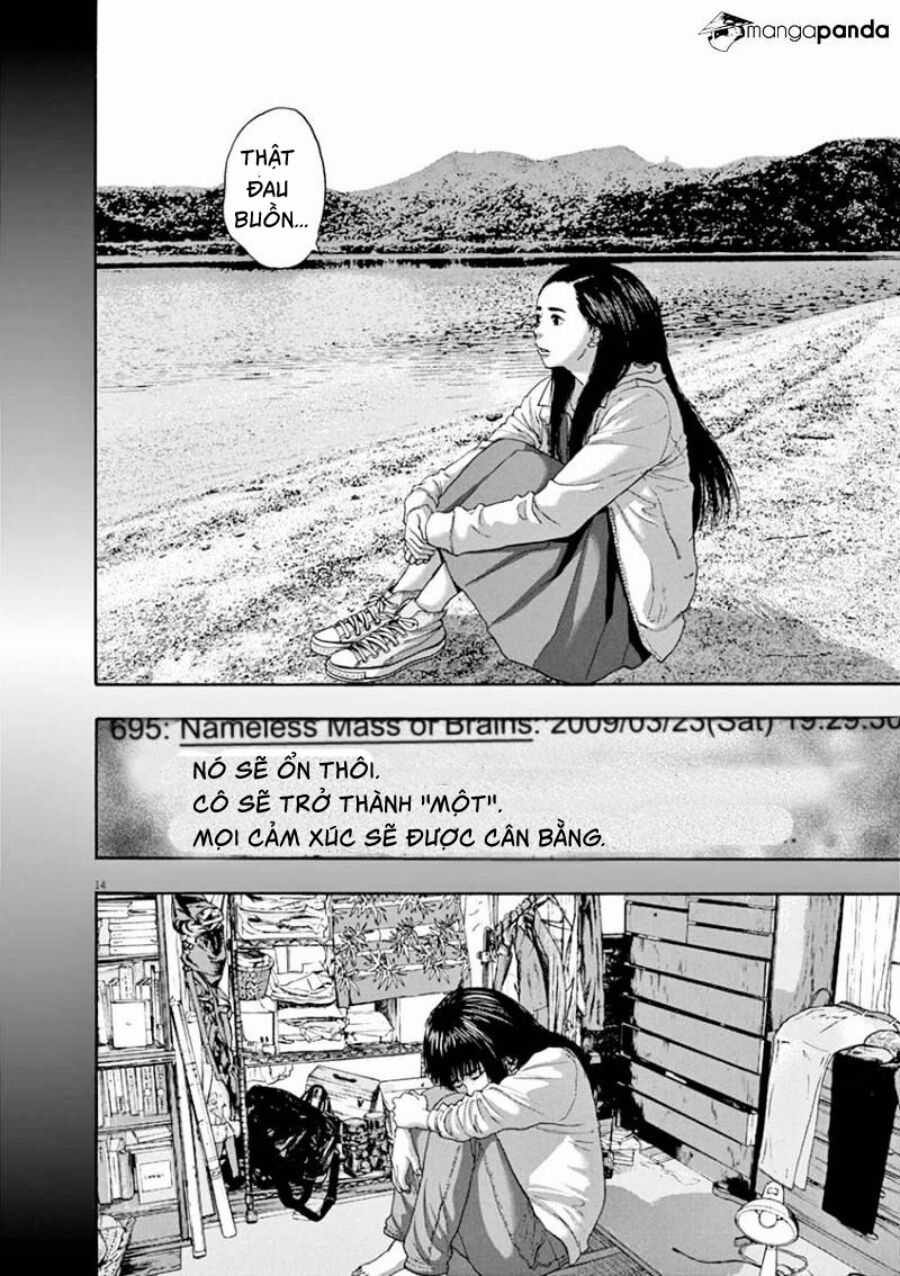 Tôi Là Người Hùng Chapter 236 trang 12