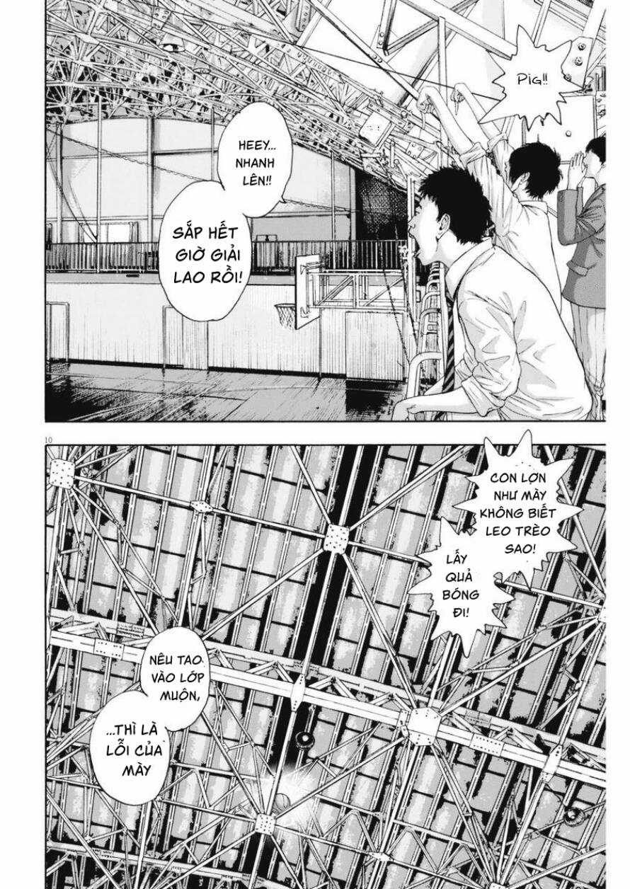 Tôi Là Người Hùng Chapter 251 trang 7