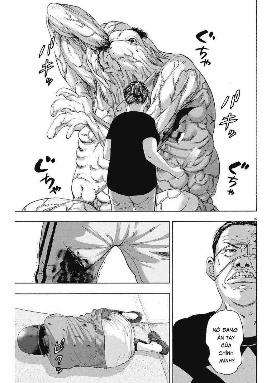 Tôi Là Người Hùng Chapter 256 trang 15