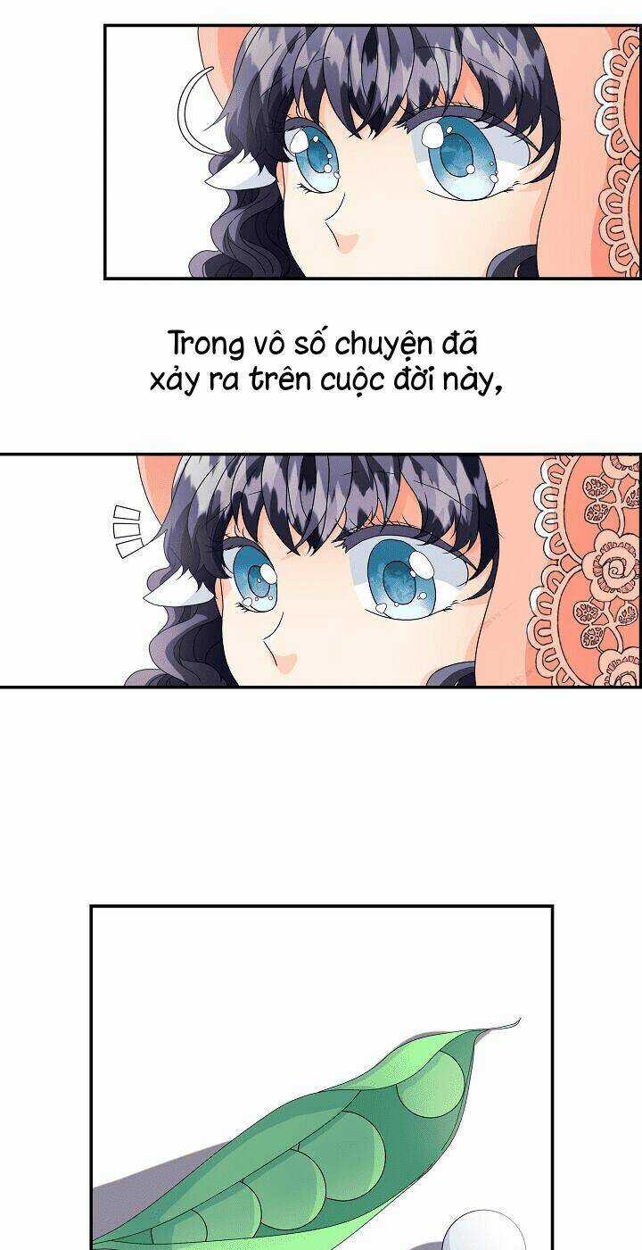 Tôi Là Sói, Nhưng Tôi Sẽ Không Làm Hại Em Chapter 1 trang 3