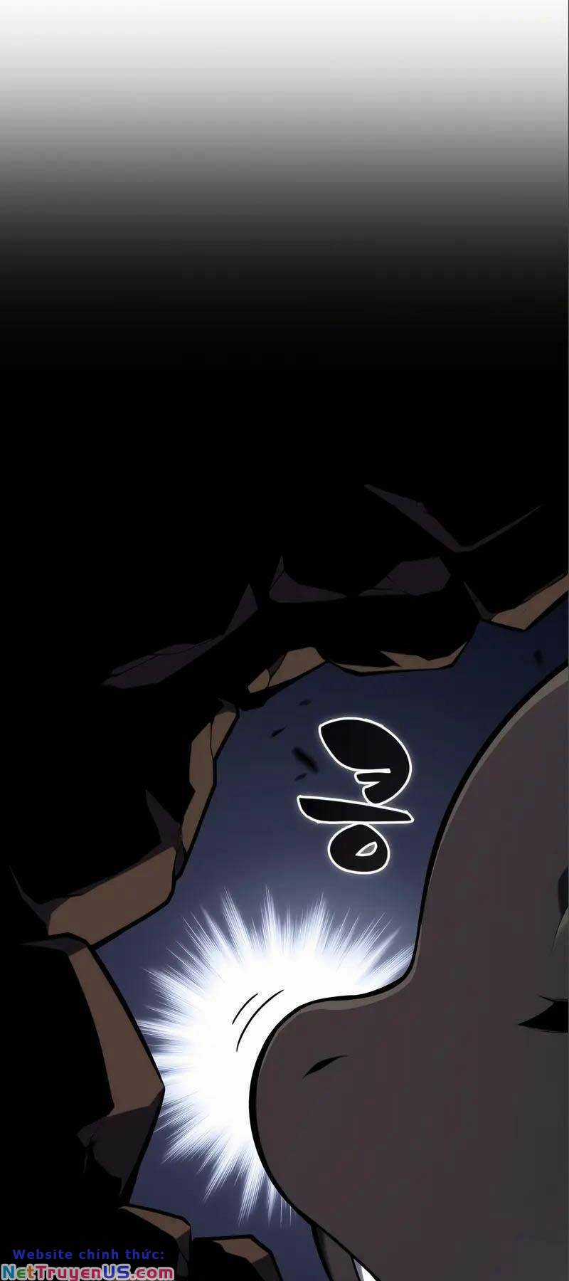 Tôi Là Tân Thủ Có Cấp Cao Nhất Chapter 125 trang 13