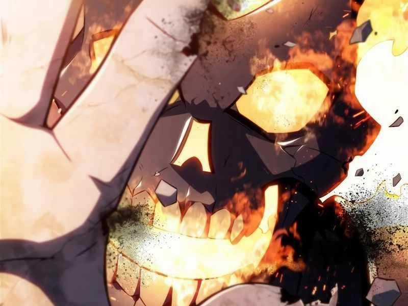 Tôi Là Tân Thủ Có Cấp Cao Nhất Chapter 149 trang 253