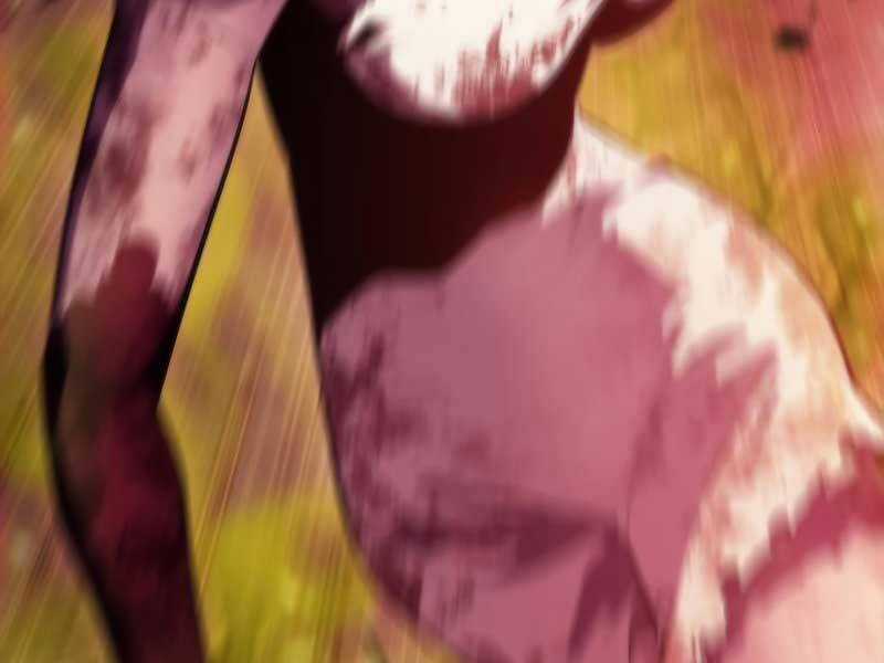 Tôi Là Tân Thủ Có Cấp Cao Nhất Chapter 54.5 trang 185