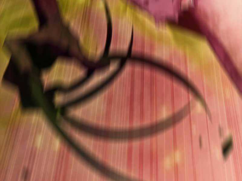 Tôi Là Tân Thủ Có Cấp Cao Nhất Chapter 54.5 trang 186