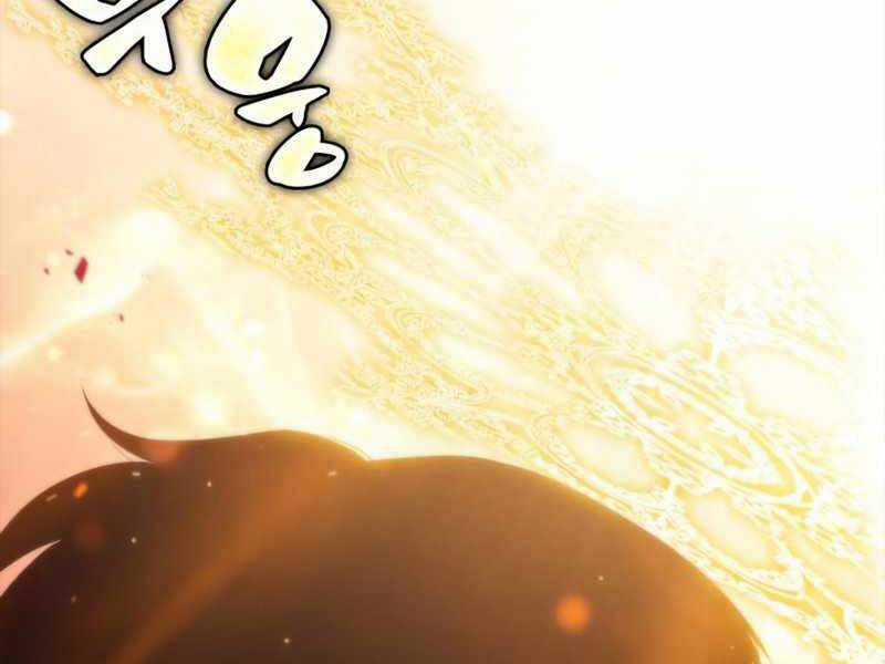 Tôi Là Tân Thủ Có Cấp Cao Nhất Chapter 55.5 trang 73