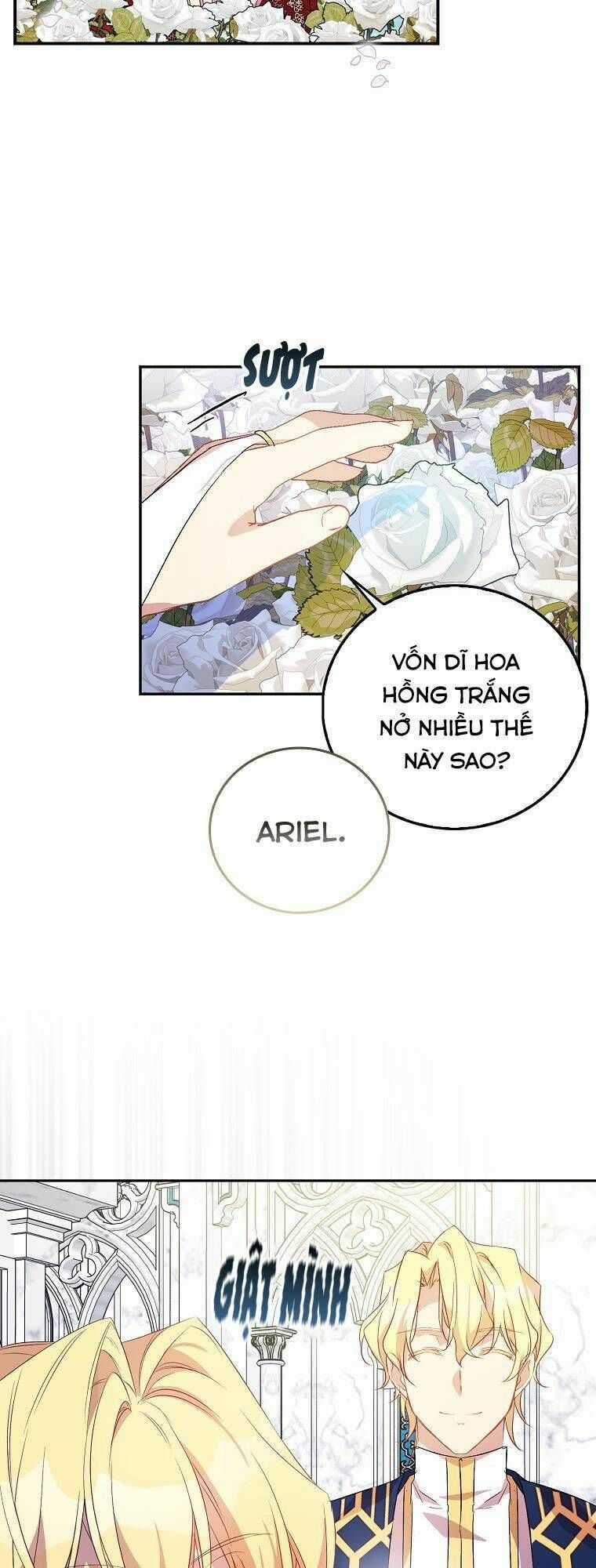 Tôi Là Thánh Nữ Giả Mạo Nhưng Các Vị Thần Lại Ám Ảnh Tôi Chapter 24 trang 34