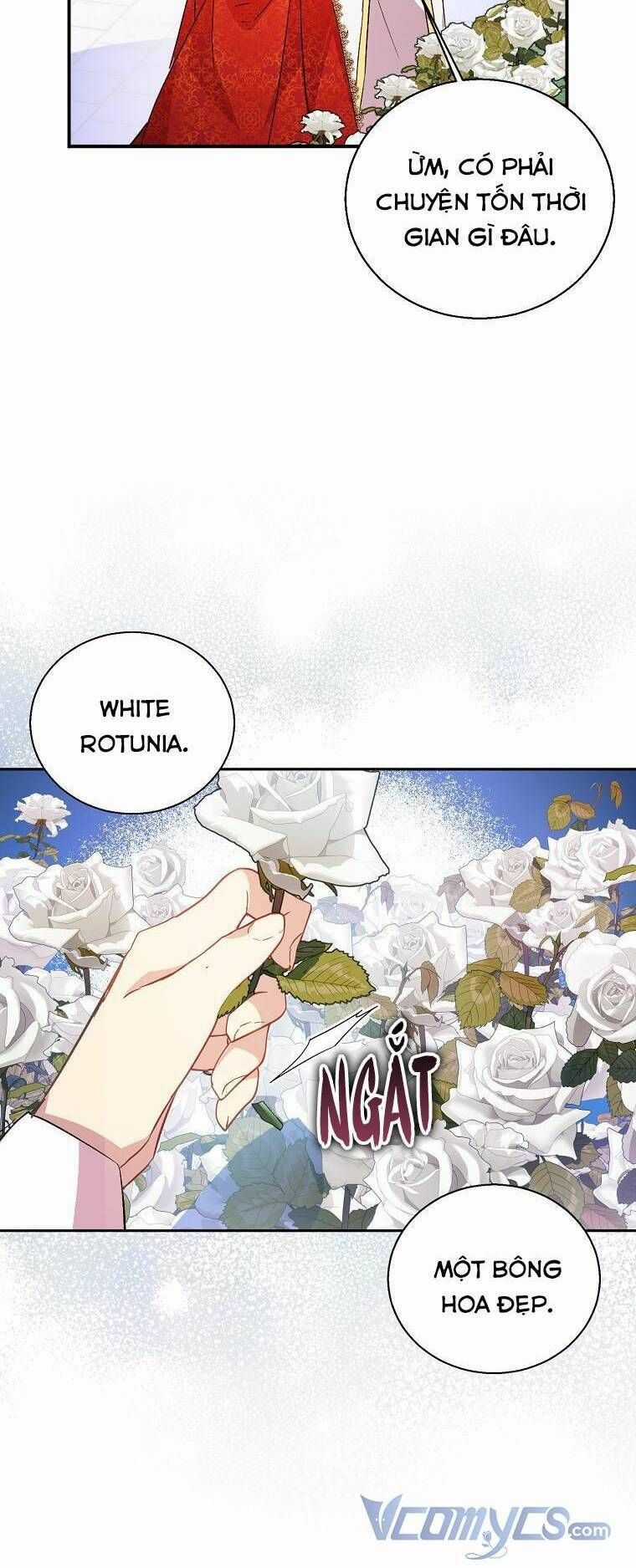 Tôi Là Thánh Nữ Giả Mạo Nhưng Các Vị Thần Lại Ám Ảnh Tôi Chapter 24 trang 36