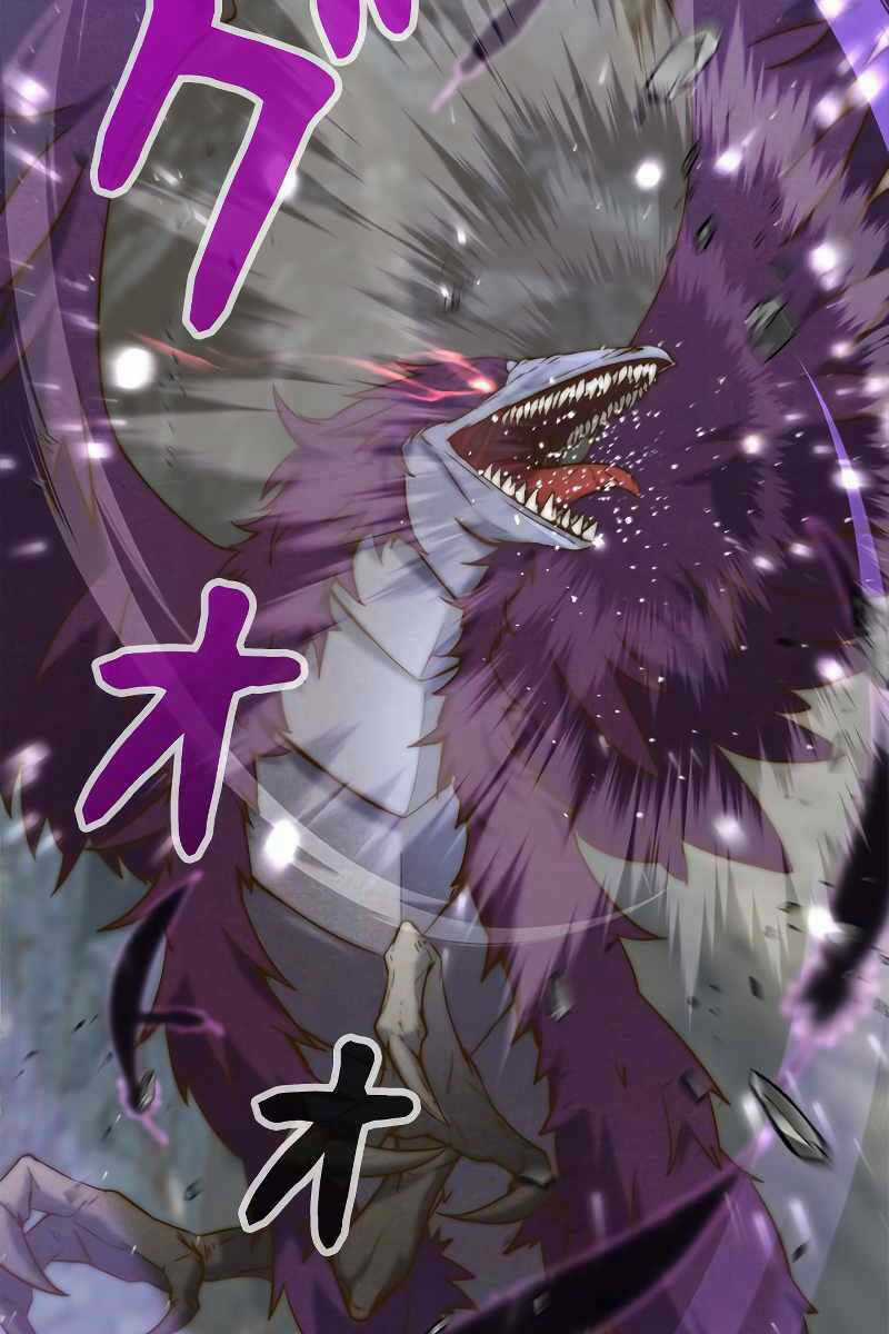 Tôi Là Thợ Săn Cấp Ex Chapter 2 trang 89