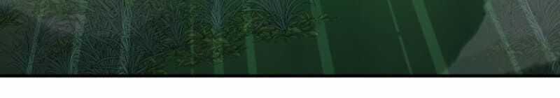 Tôi Là Thợ Săn Có Kĩ Năng Tự Sát Cấp Sss Chương 11 trang 52