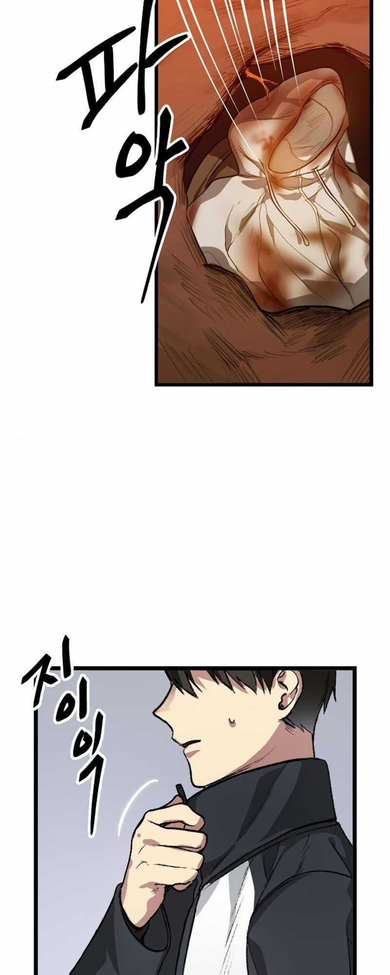 Tôi Là Thợ Săn Có Kĩ Năng Tự Sát Cấp Sss Chương 4 trang 74