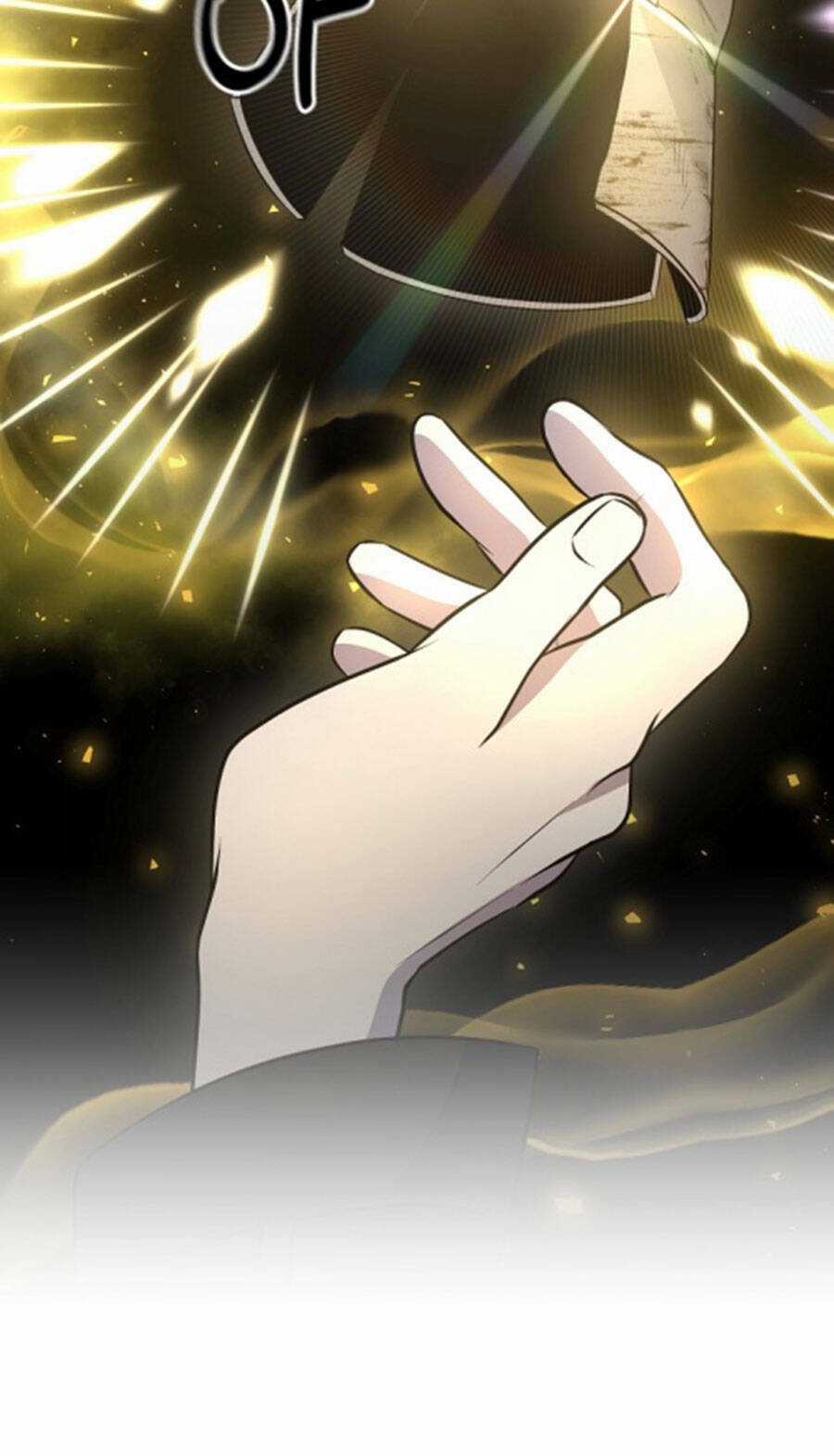 Tôi Là Thợ Săn Có Sức Mạnh Của 99 Vạn Tiền Kiếp Chapter 103 trang 13