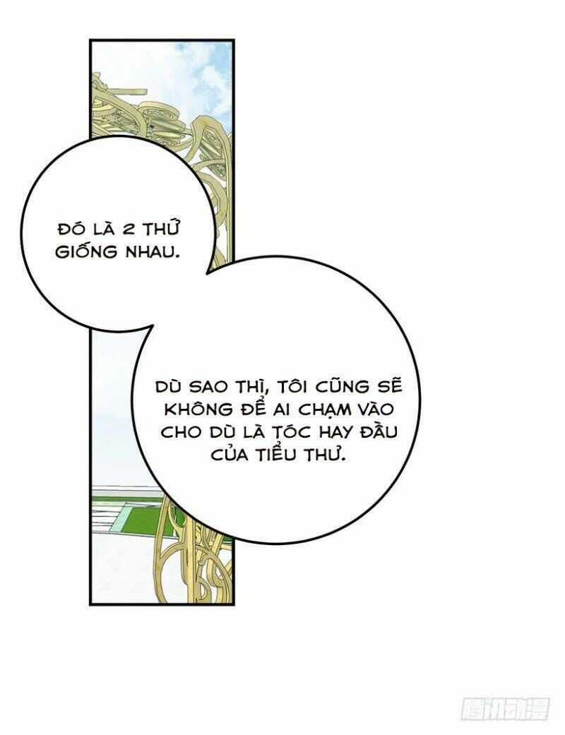 Tôi Là Tiểu Thư Của Gia Đình Này Chapter 121 trang 28