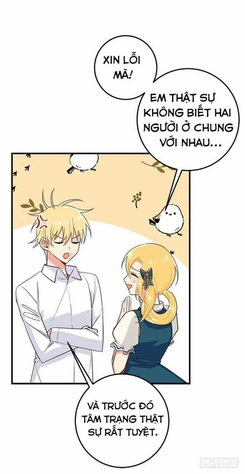 Tôi Là Tiểu Thư Của Gia Đình Này Chapter 125 trang 34