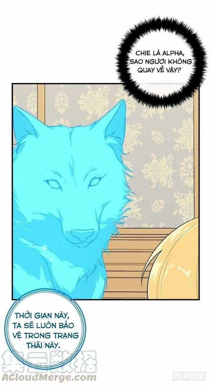 Tôi Là Tiểu Thư Của Gia Đình Này Chapter 131 trang 16