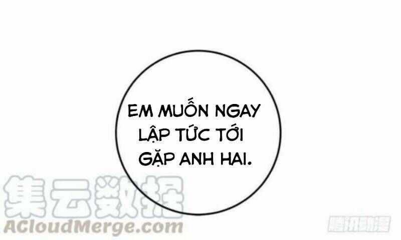 Tôi Là Tiểu Thư Của Gia Đình Này Chapter 131 trang 24