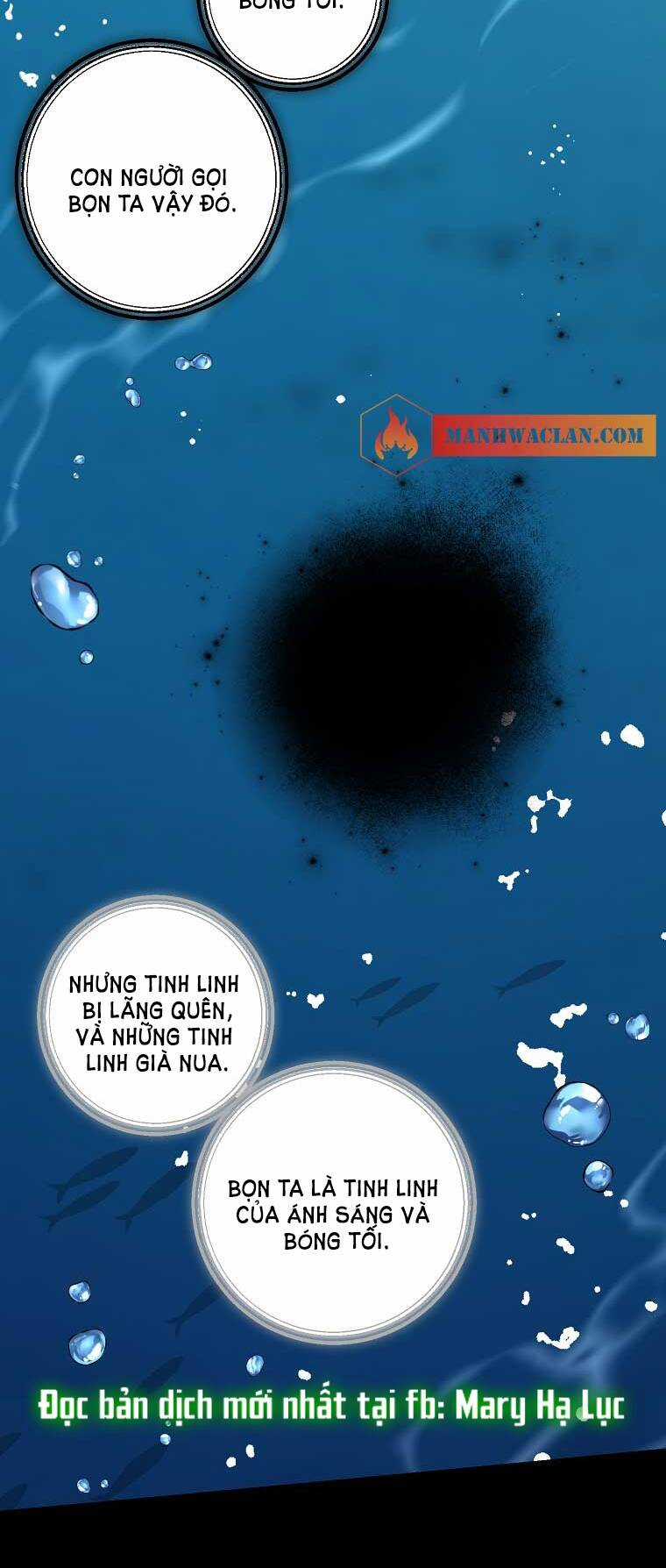 Tôi Là Tiểu Thư Của Gia Đình Này Chapter 148 trang 14
