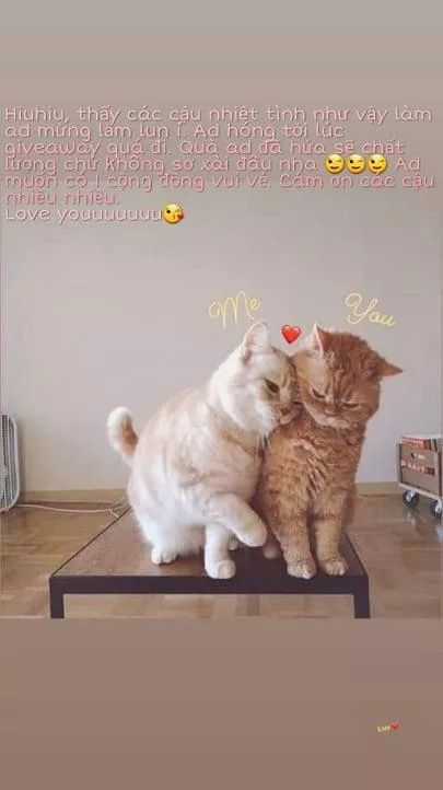 Tôi Là Tiểu Thư Của Gia Đình Này Chapter 24.2 trang 33