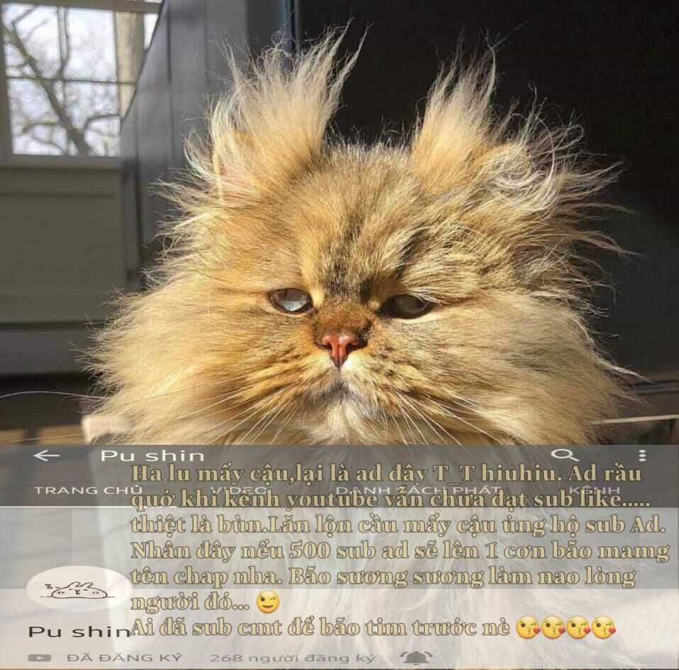 Tôi Là Tiểu Thư Của Gia Đình Này Chapter 25.2 trang 20