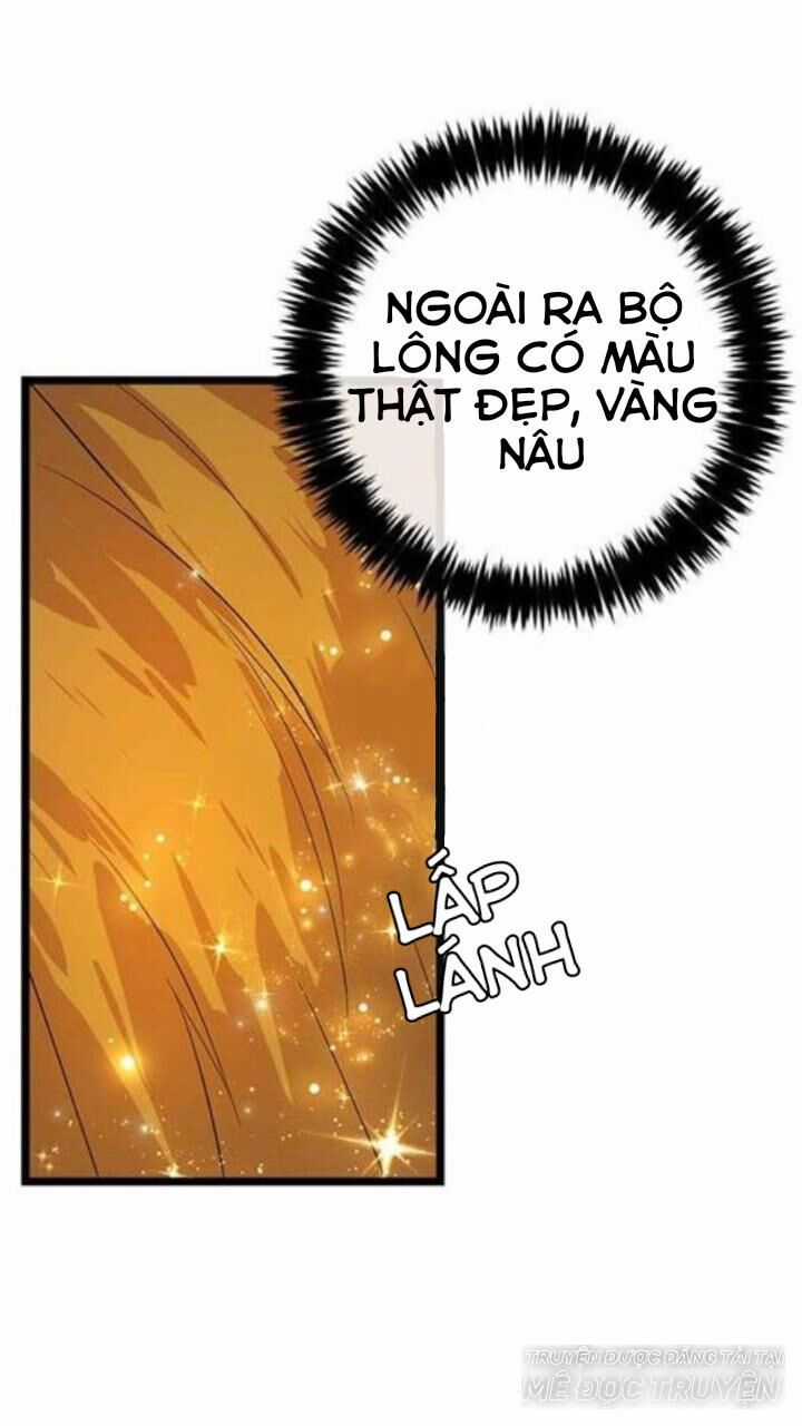 Tôi Là Tiểu Thư Của Gia Đình Này Chapter 48 trang 11