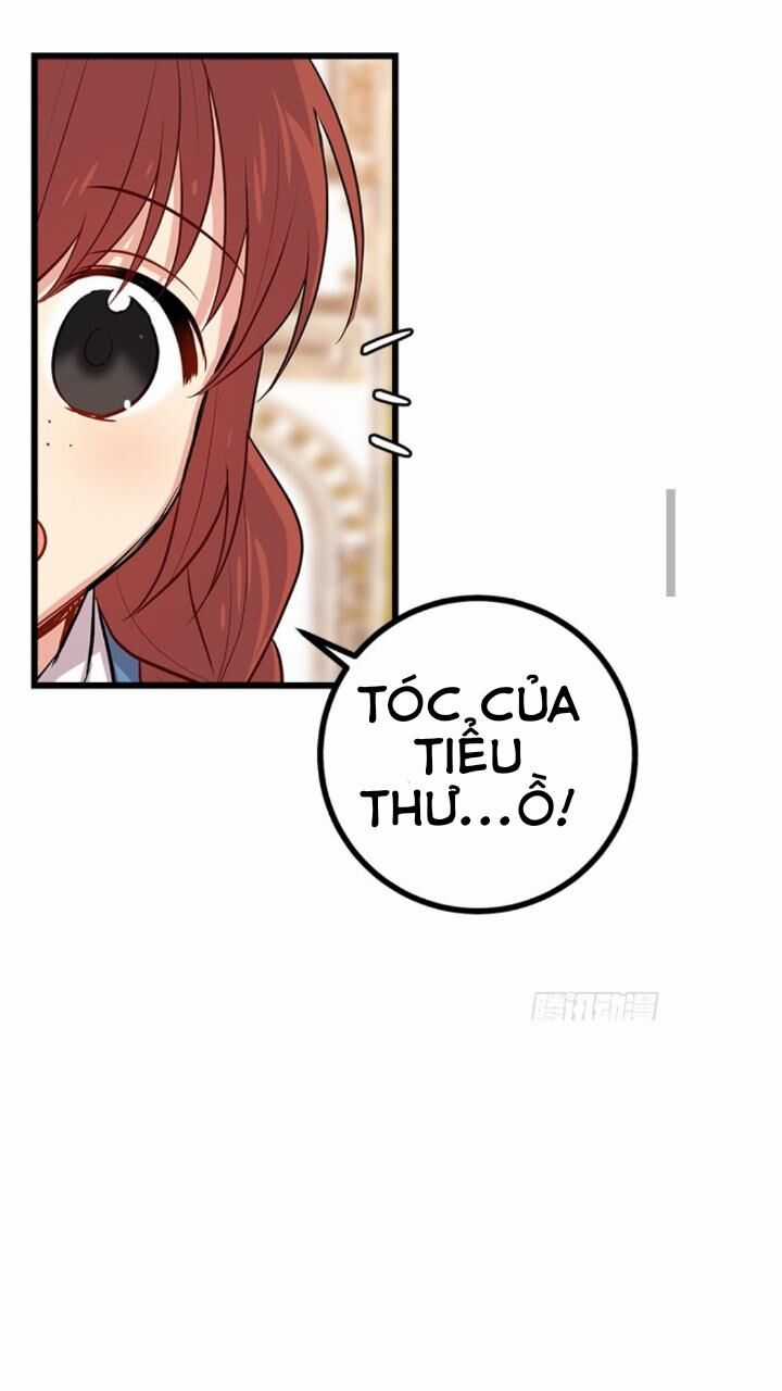 Tôi Là Tiểu Thư Của Gia Đình Này Chapter 49 trang 22