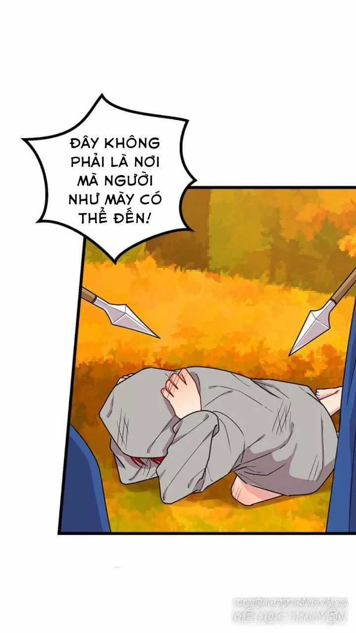 Tôi Là Tiểu Thư Của Gia Đình Này Chapter 60 trang 11
