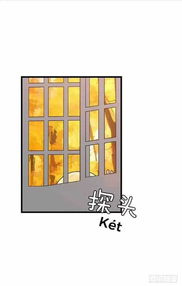 Tôi Là Tiểu Thư Của Gia Đình Này Chapter 62 trang 5