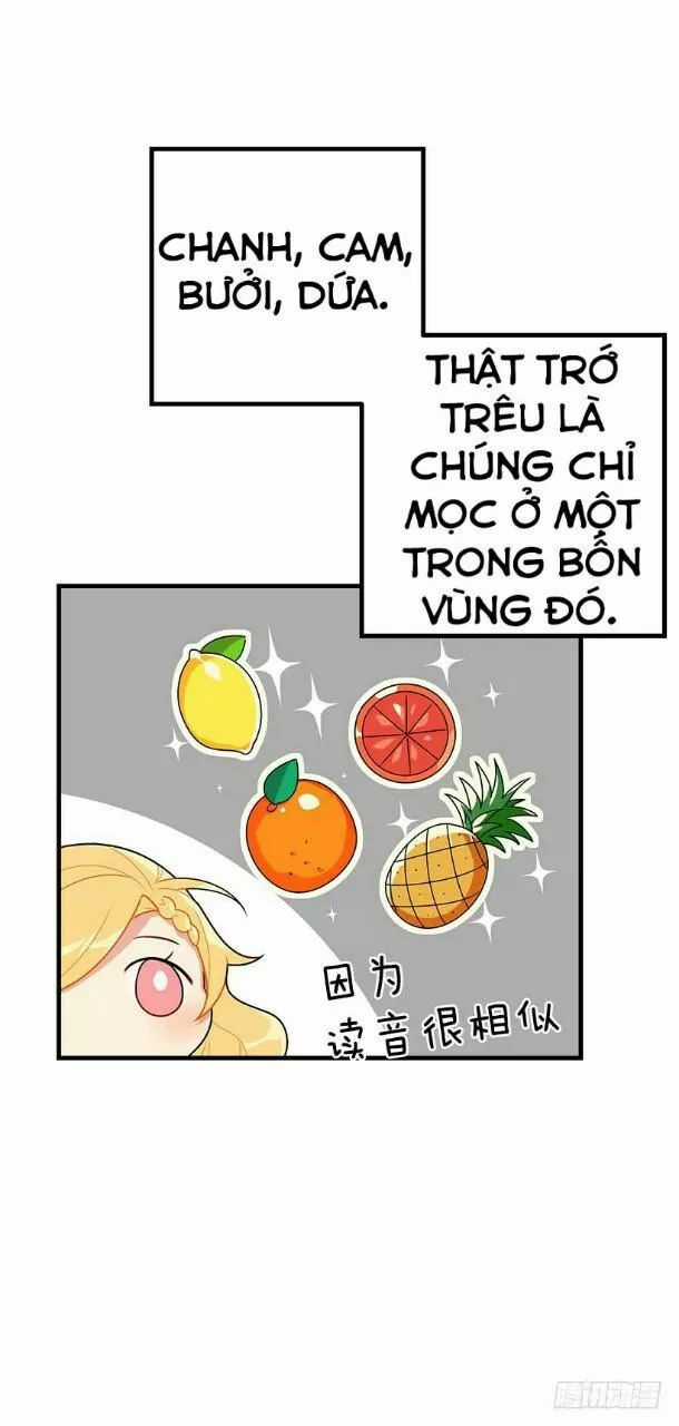 Tôi Là Tiểu Thư Của Gia Đình Này Chapter 70 trang 23