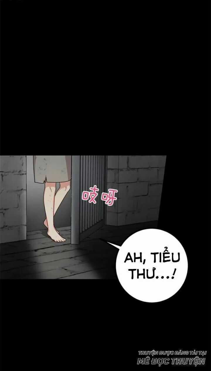 Tôi Là Tiểu Thư Của Gia Đình Này Chapter 75 trang 37