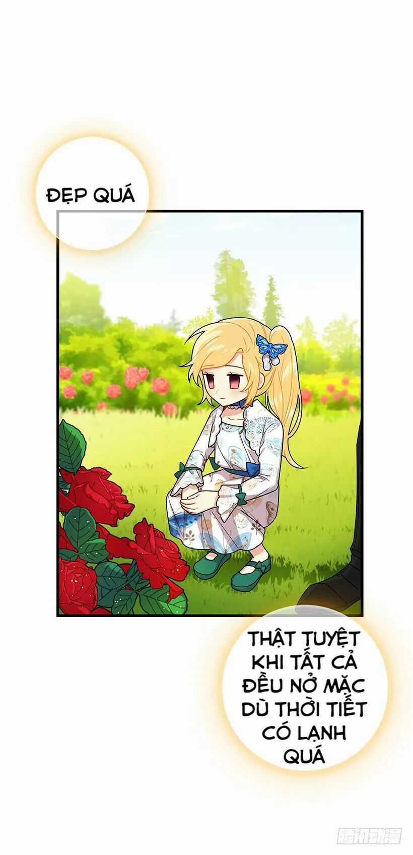 Tôi Là Tiểu Thư Của Gia Đình Này Chapter 79.1 trang 16