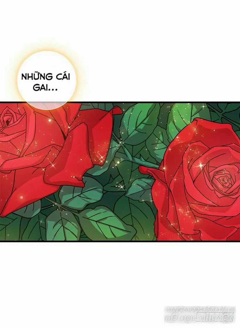 Tôi Là Tiểu Thư Của Gia Đình Này Chapter 79.1 trang 17