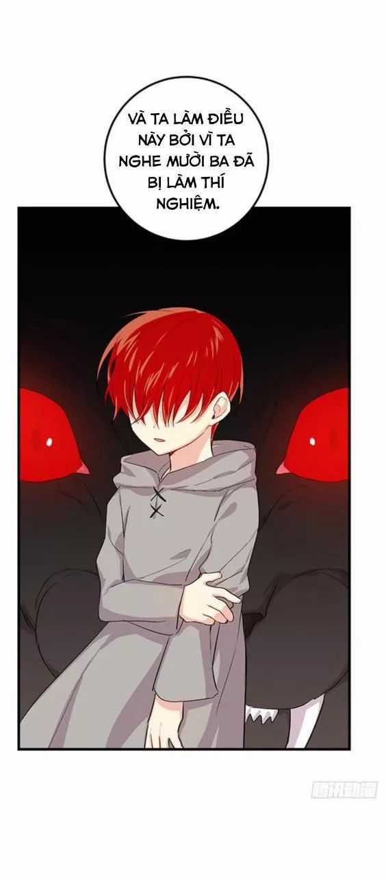 Tôi Là Tiểu Thư Của Gia Đình Này Chapter 84 trang 20