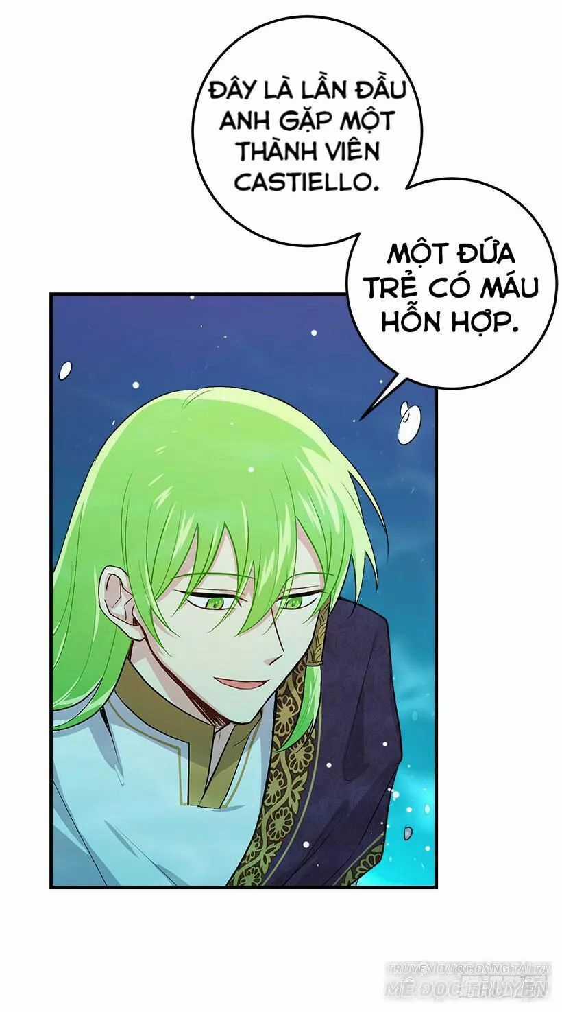 Tôi Là Tiểu Thư Của Gia Đình Này Chapter 85 trang 42