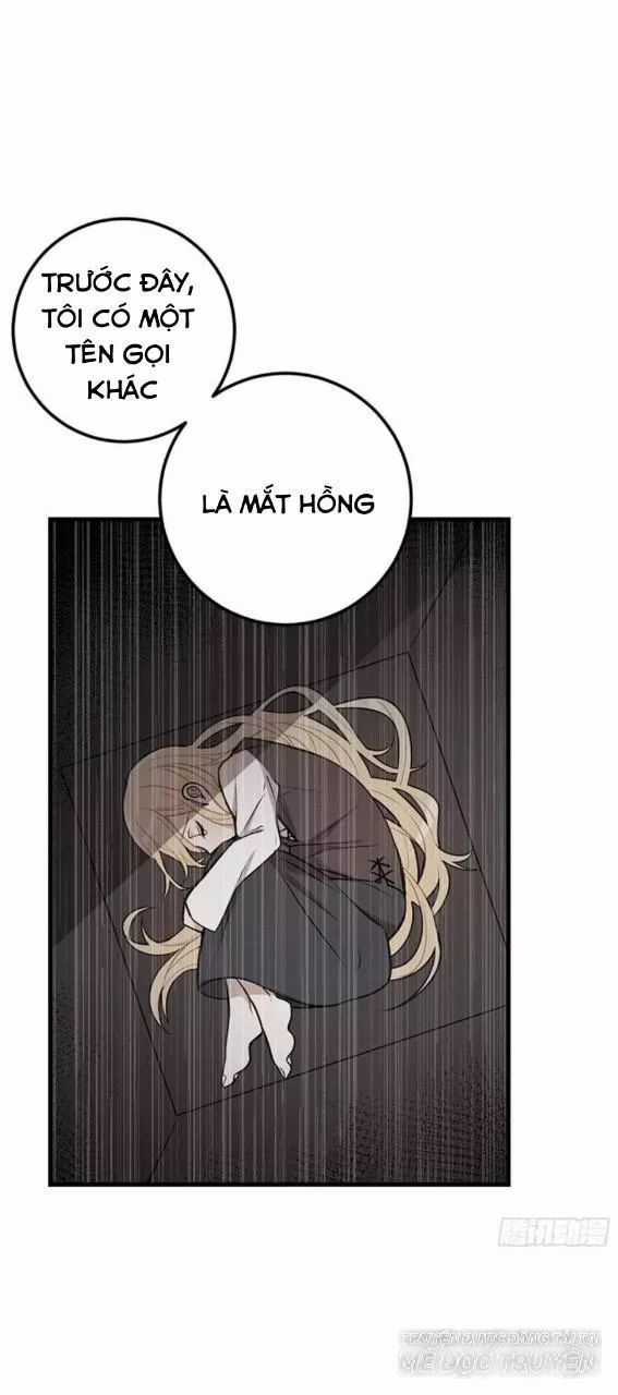 Tôi Là Tiểu Thư Của Gia Đình Này Chapter 87 trang 6