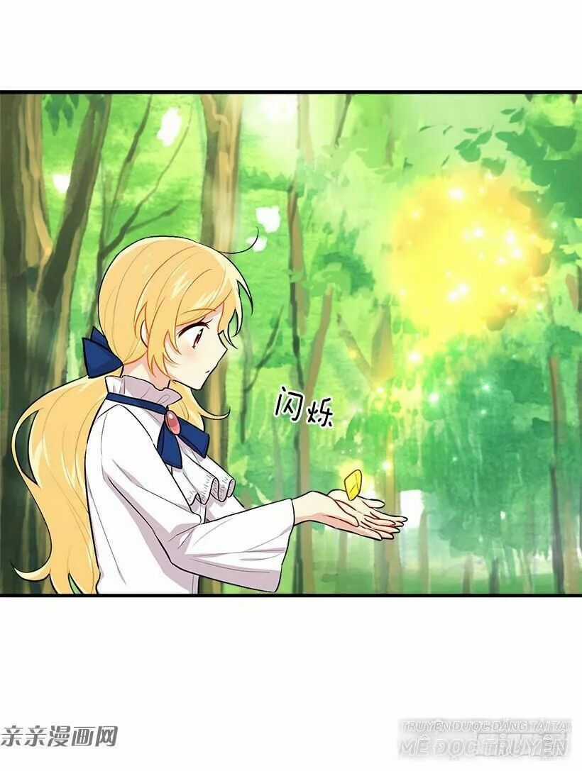 Tôi Là Tiểu Thư Của Gia Đình Này Chapter 88 trang 12