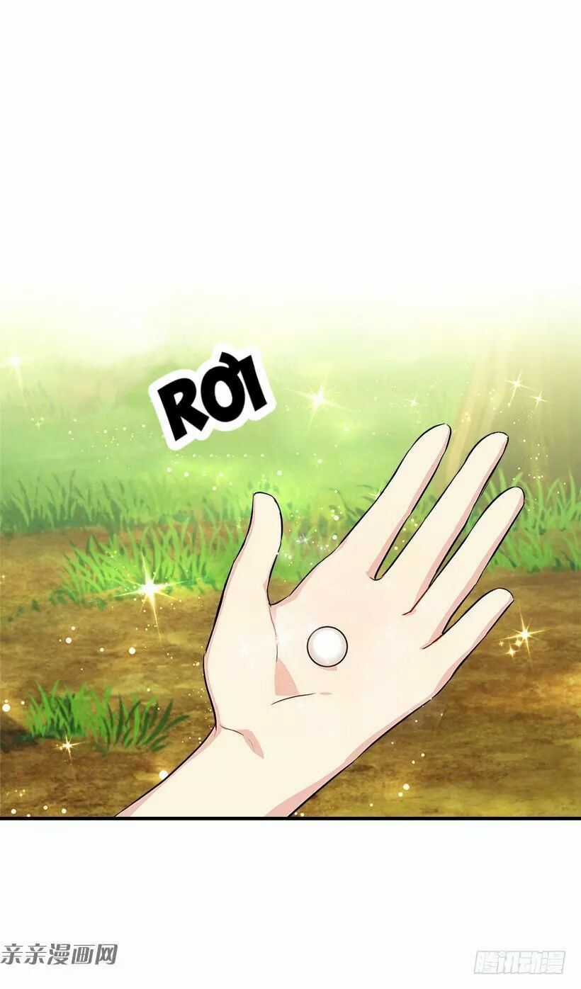 Tôi Là Tiểu Thư Của Gia Đình Này Chapter 88 trang 8