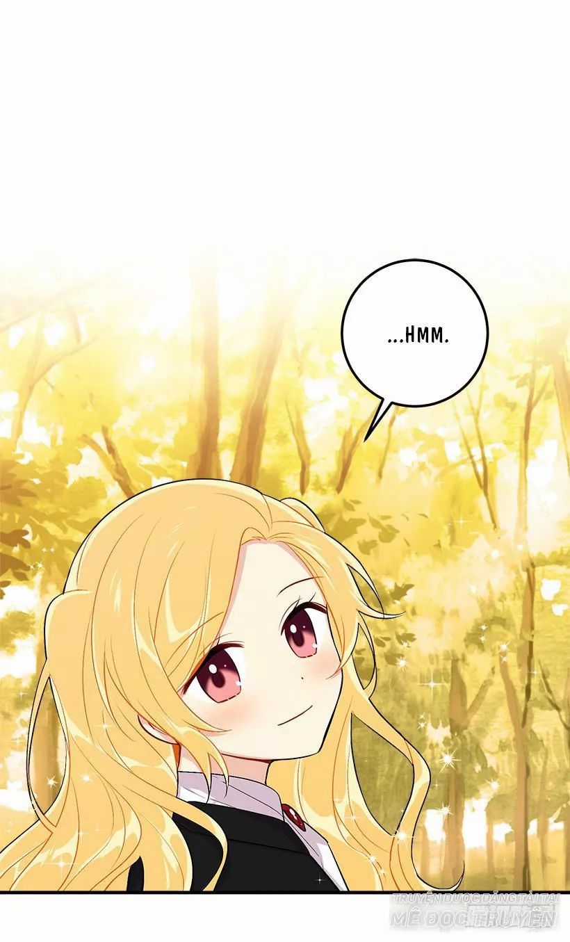 Tôi Là Tiểu Thư Của Gia Đình Này Chapter 95 trang 11