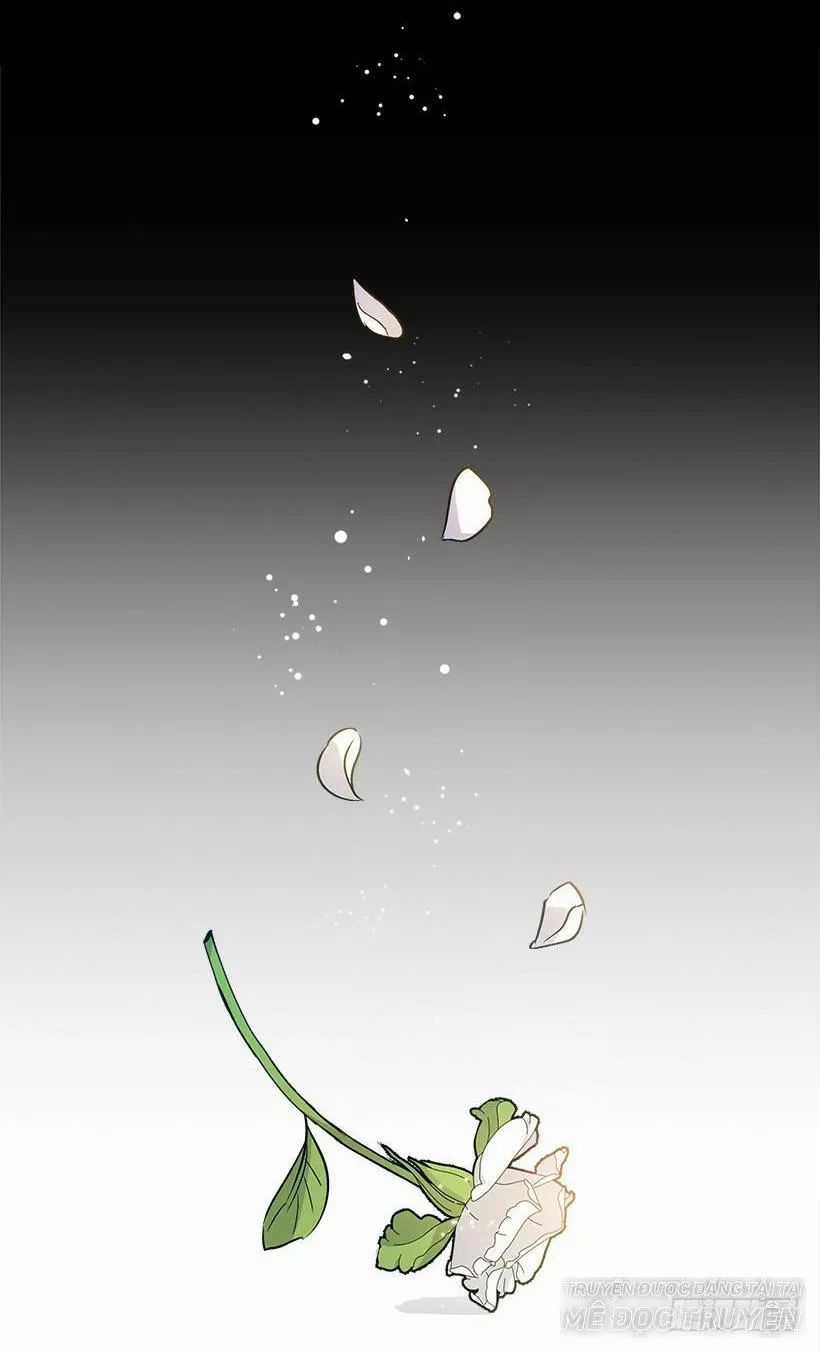 Tôi Là Tiểu Thư Của Gia Đình Này Chapter 96 trang 44