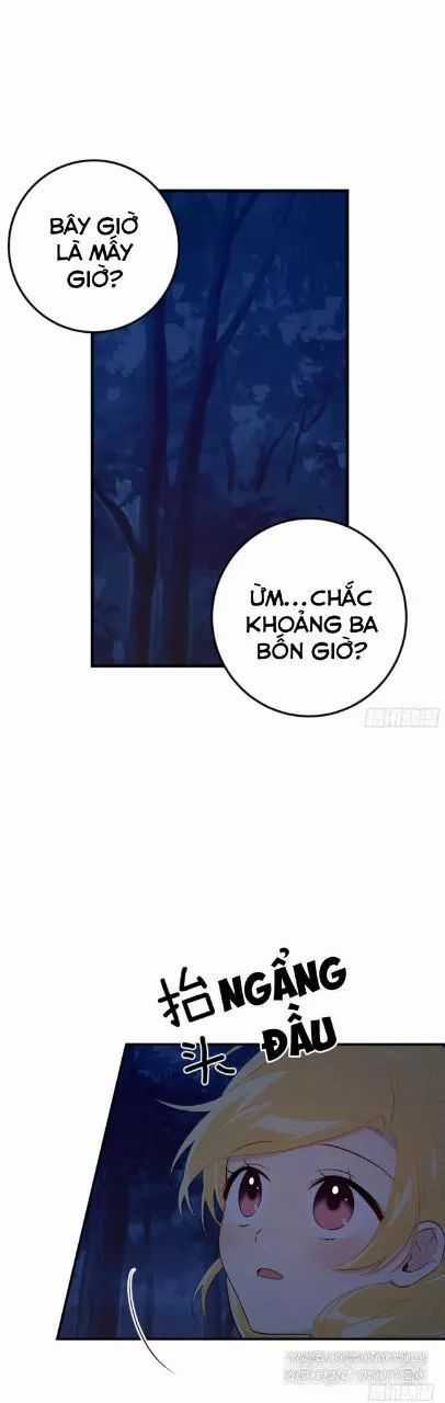 Tôi Là Tiểu Thư Của Gia Đình Này Chapter 99 trang 11