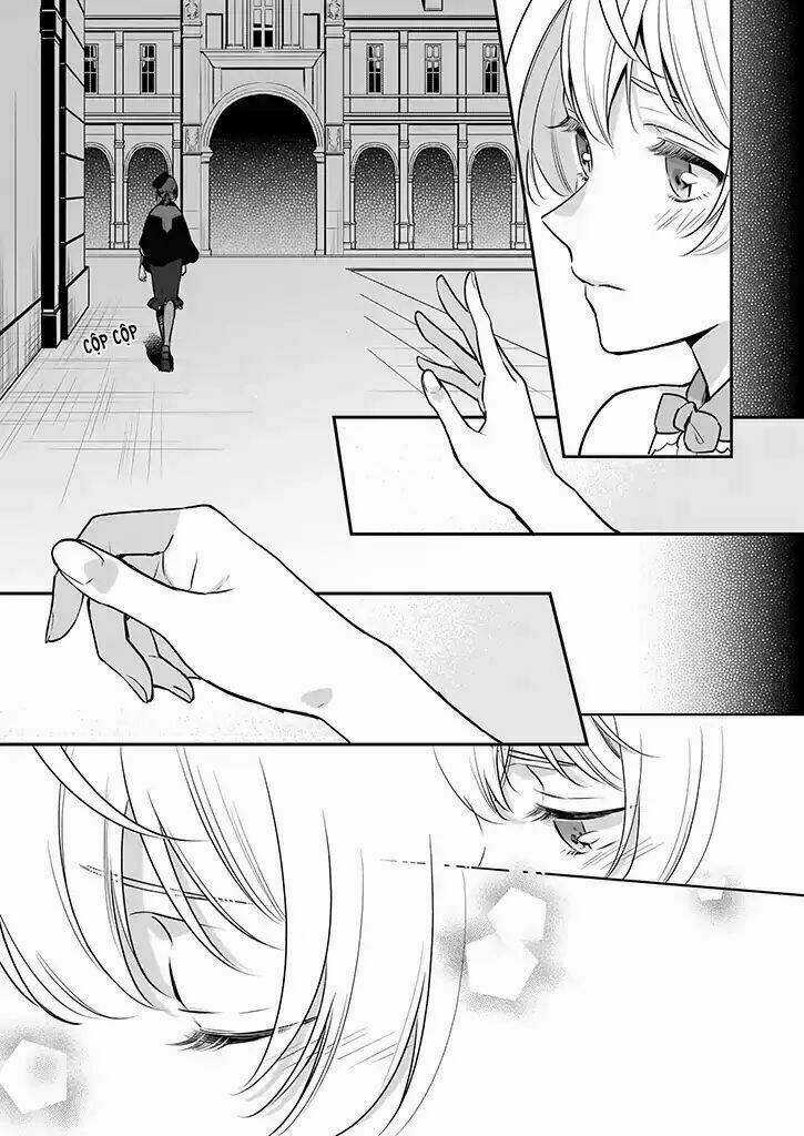 Tôi Là Ứng Cử Viên Cho Vị Trí Hoàng Tử Phi Nhưng Tôi Chắc Kèo Là Tôi Trúng Rồi! Chapter 3 trang 8