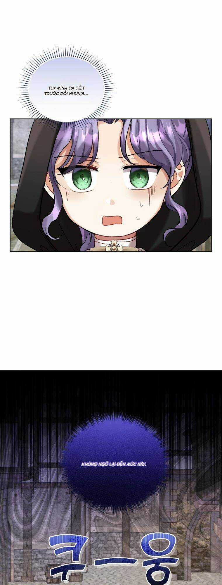 Tôi Là Vị Hôn Thê Của Nam Phụ Phản Diện Chapter 12 trang 29