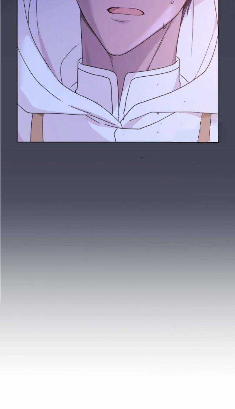 Tôi Là Vị Hôn Thê Của Nam Phụ Phản Diện Chapter 35 trang 62