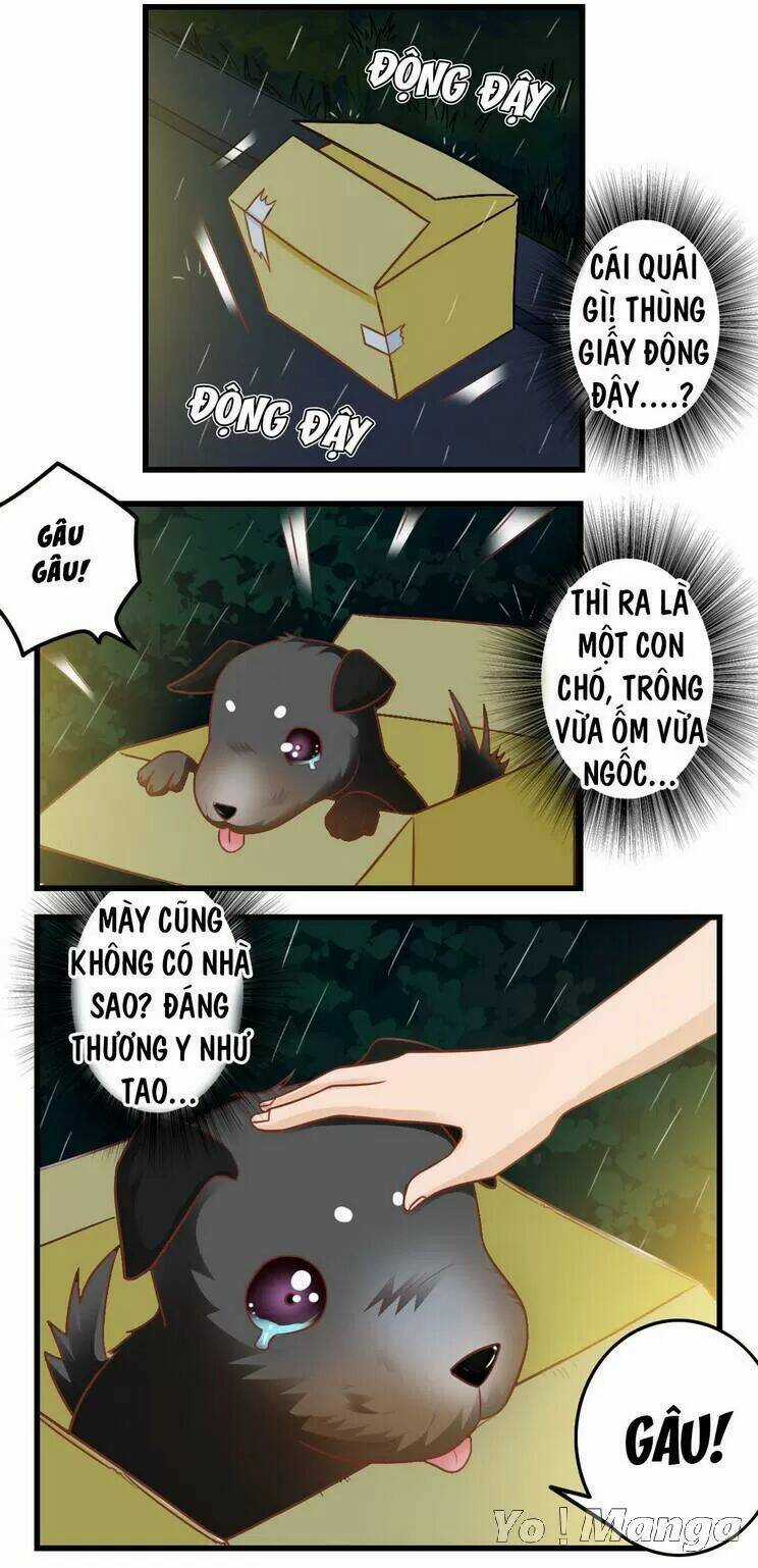 Tôi Là Vợ Tôi Chapter 83 trang 3