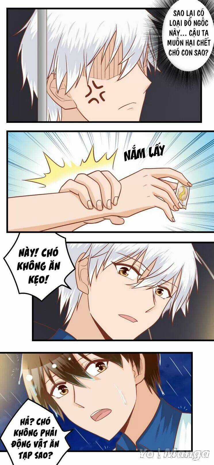 Tôi Là Vợ Tôi Chapter 83 trang 7